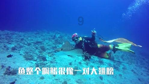 陈颖任山东省地方金融管理局局长